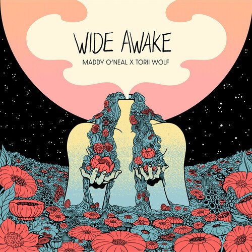 Wide Awake_poster_image