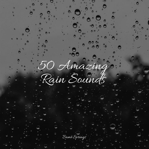 50 Amazing Rain Sounds_poster_image