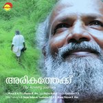 Idanenjiletho (From Arikathekku)