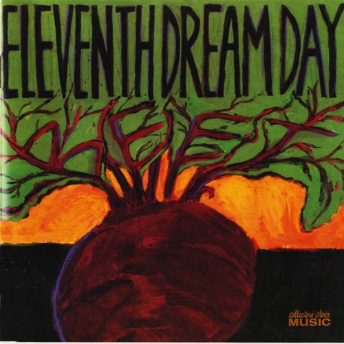 Eleventh Dream Day