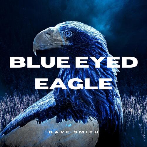 Blue Eyed Eagle_poster_image