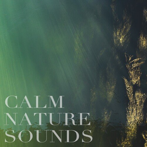 Calming River cover art
