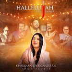 Chaulaan Diyan Piniyaan