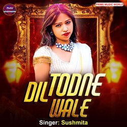 Dil Todne Wale (Hindi)-Cjw6cxlTBFY