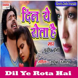 Dil Ye Rota Hai-NFtZehwDVgU