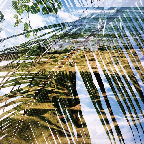 No Trigger cover art