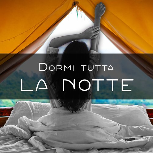 Dormi tutta la notte_poster_image