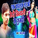 Ek Chaplus Ladki Meri Zindagi Se Gujari