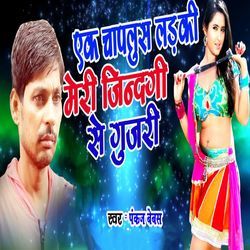 Ek Chaplus Ladki Meri Zindagi Se Gujari