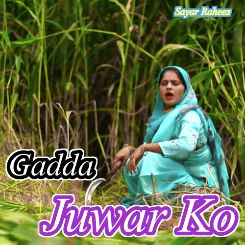 Gadda Juwar Ko