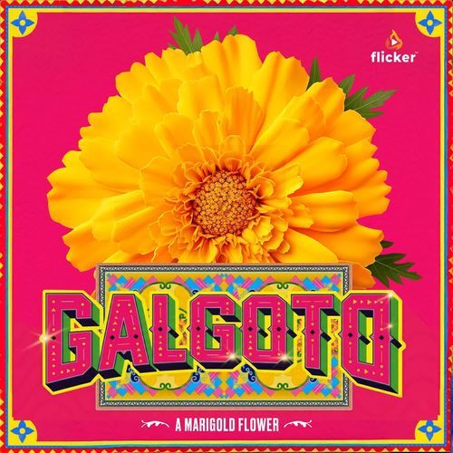 Galgoto (A Marigold Flower)