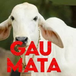 Gau Mata-JgIbBCN5bmY