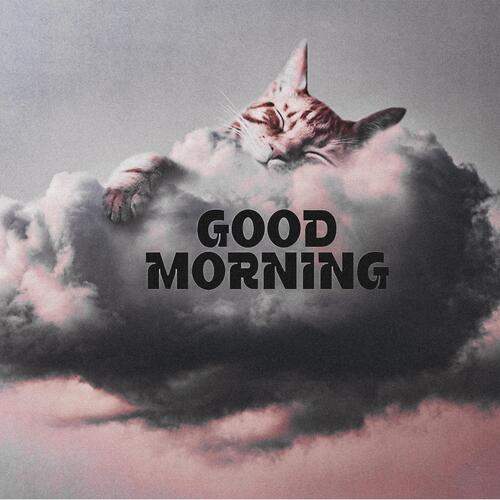 Good Morning Lofi