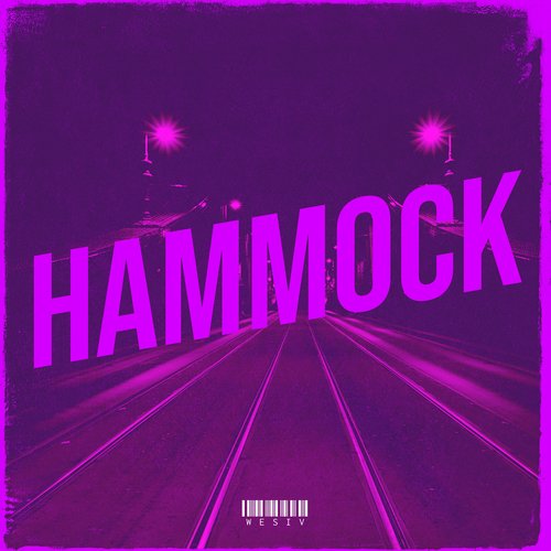 Hammock cover art