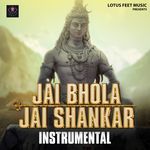 Jai Bhola Jai Shankar Instrumental