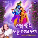 Lo Radha Kanhu Padhichi Bandha
