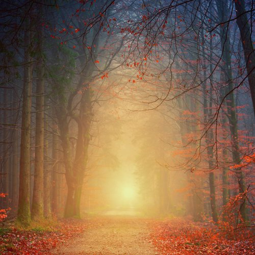 Massage Relaxation Music Collection