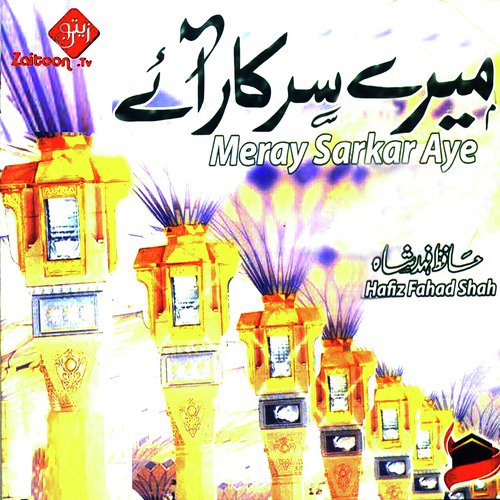 Meray Sarkar Aye_poster_image