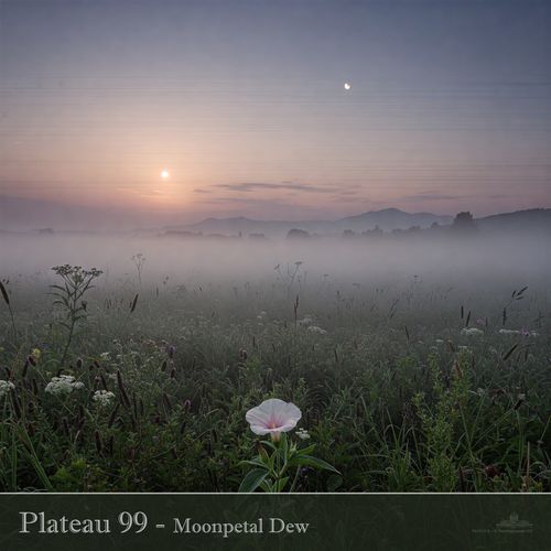 Moonpetal Dew cover art