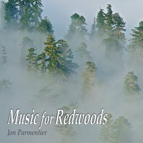 Fog cover art