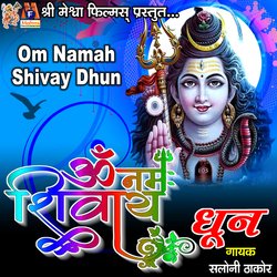 Om Namah Shivay Dhun-KAQlcAJ1c10