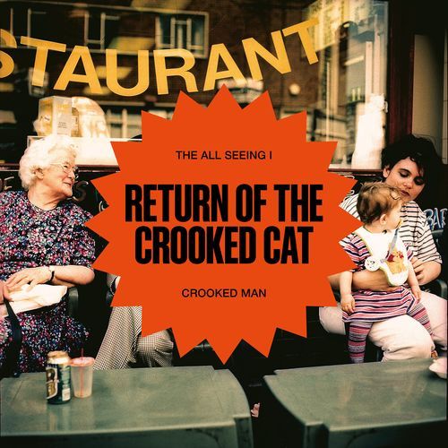 Return of The Crooked Cat