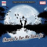 Piya Pichkari Na Le Aila