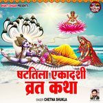 Shattila Ekadashi Vrat Katha artwork