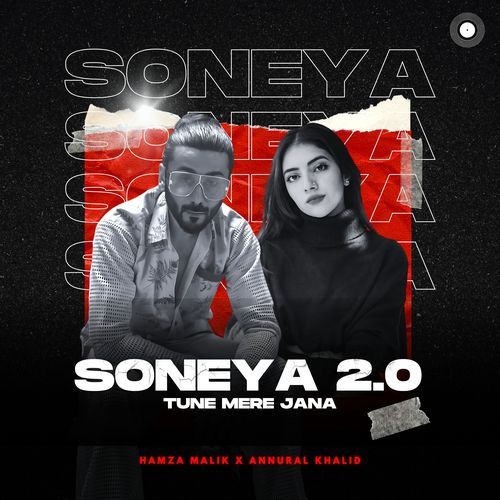 Soneya 2.0