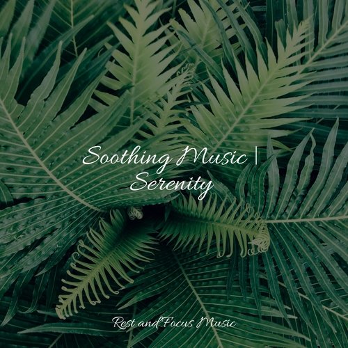 In Search of Rain cover art