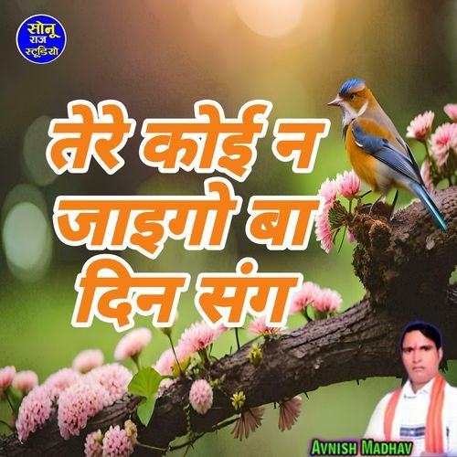 Tere Koi N Jaigo Ba Din Sang