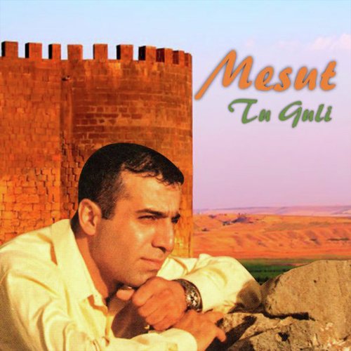 Tu Guli