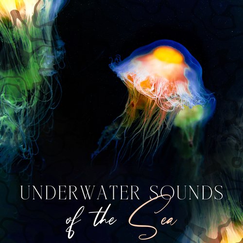 Underwater Sounds of the Sea