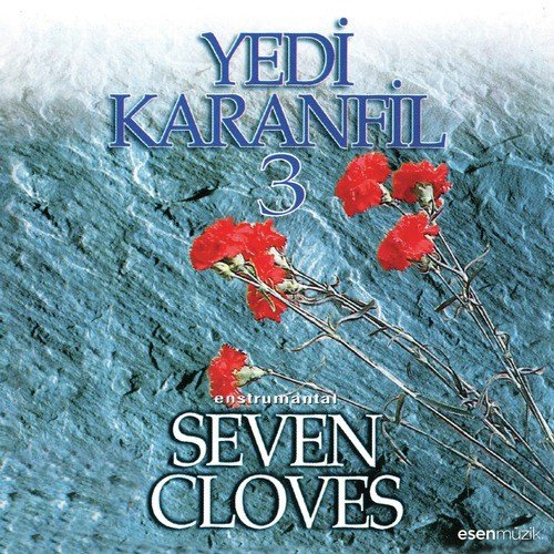 Yedi Karanfil