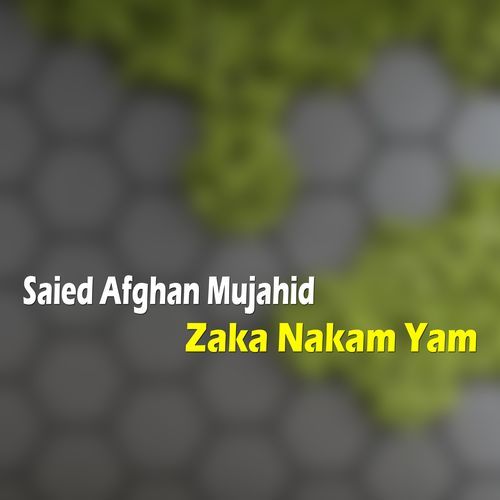 Zaka Nakam Yam