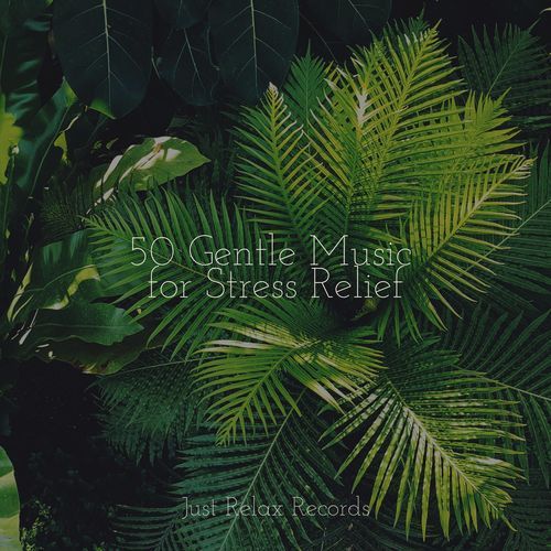 50 Gentle Music for Stress Relief