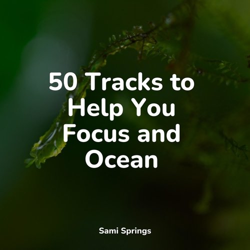 50 Natural Rain Tracks_poster_image