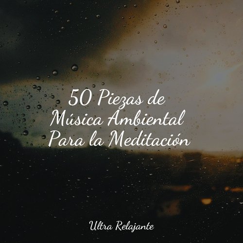 50 Piezas de Música Ambiental Para la Meditación