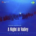 A Night At Valley