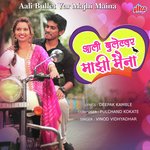 Aali Bullet Var Majhi Maina