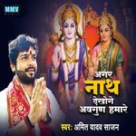 Agar Nath Dekhoge Avgun Hamare