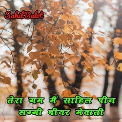 तेरा गम मैं साहिल पीन लग्गी बियर मेवाती-QQAycyBkXn8