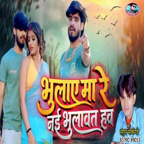 Bhulaye Ma Re Nai Bhulavat Hav