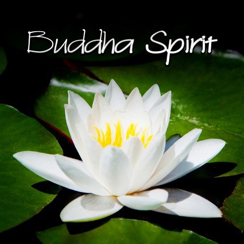 Buddha's Smile (Mindfulness Meditaton)