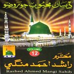 Disan Mehboob Jo Rozo, Vol. 12