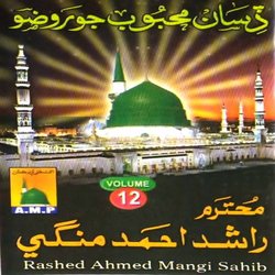 Disan Mehboob Jo Rozo, Vol. 12