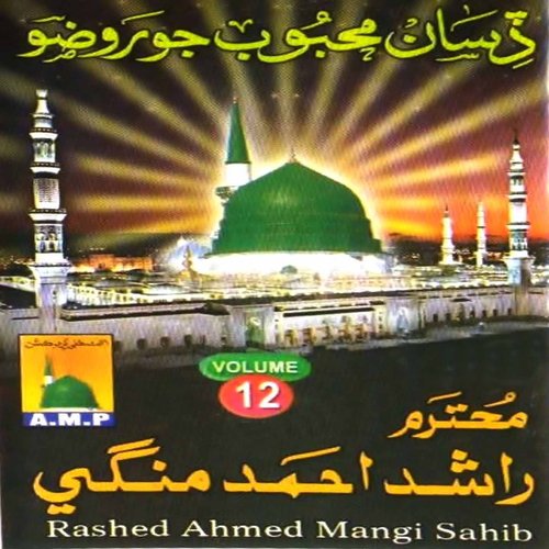 Disan Mehboob Jo Rozo, Vol. 12