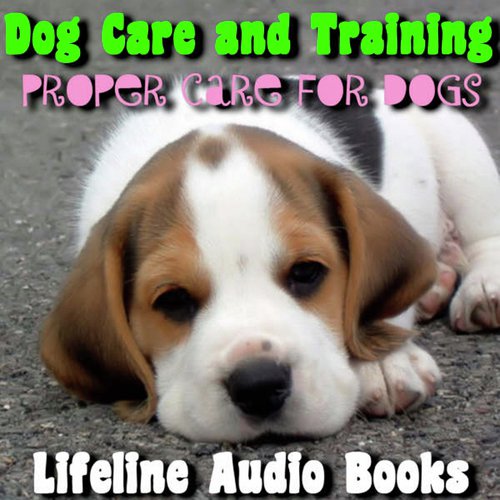 Common Household Items that Could Kill Your Dog cover art