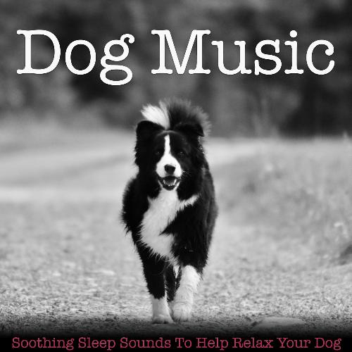 Dog Music: Soothing Sleep Sounds to Help Relax Your Dog