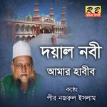 Doyal Nobi Amar Habib